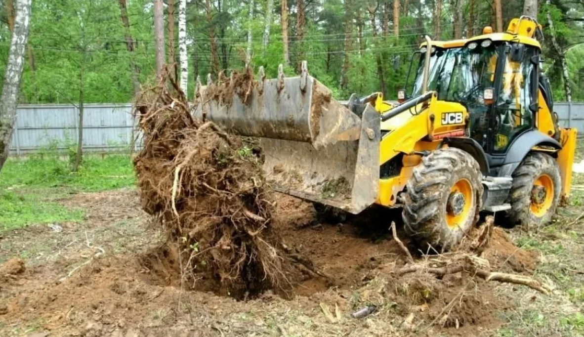 1 Подготовка участка к строительству   как избавиться от пней больших деревьев
